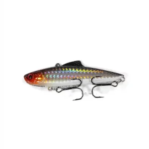 Vib vaappu Zion #716